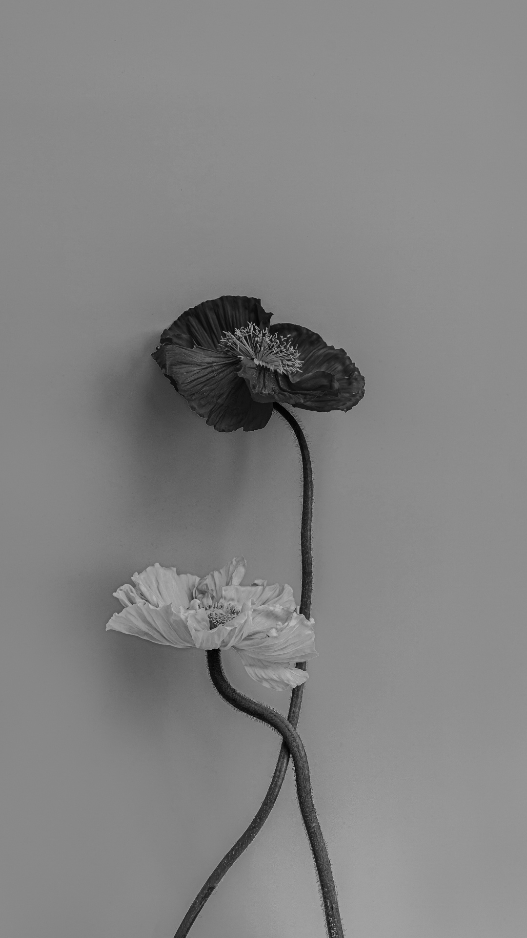 dating fails, boyfriend quirks, why boyfriends annoy, dating advice women, funny love stories, relationship reality, boyfriend habits, messy men, dating truth, boyfriend struggles, love and embarrassment, relationship laughs, dating comedy, real relationship experiences, women dating advice, boyfriend mistakes, why men are awkward, dating fails relatable